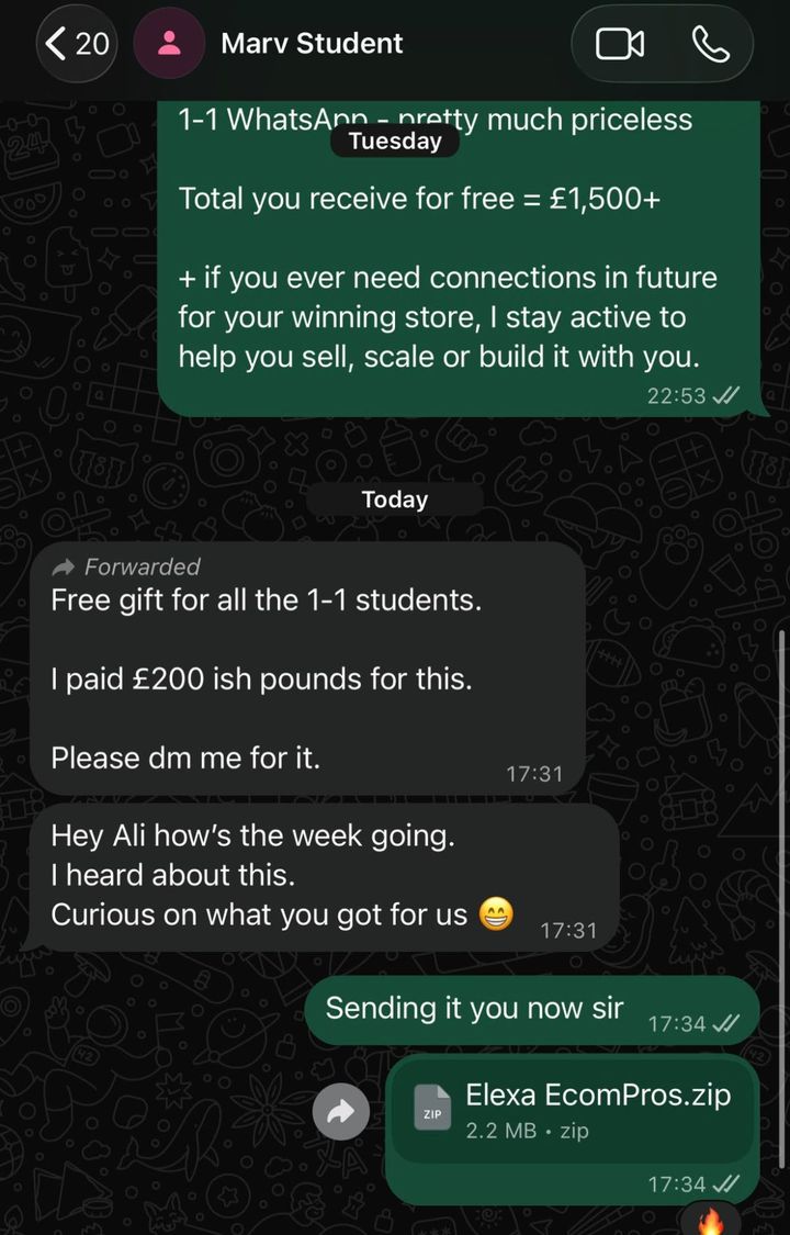 WhatsApp chat: Ali sending a student a free store theme he paid £200 for